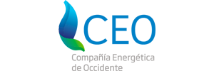 ceo